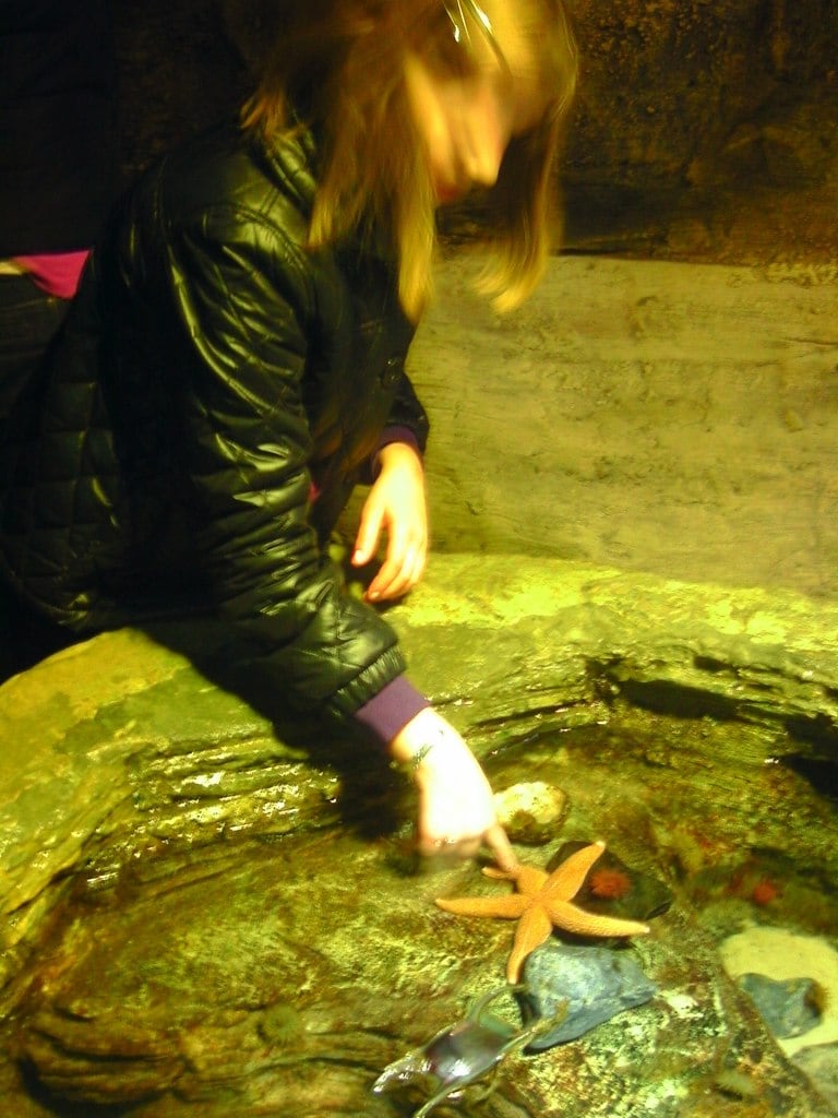 London Aquarium 2