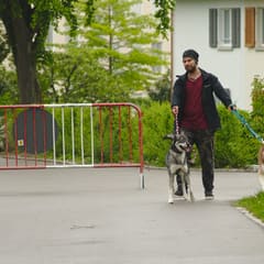 Quartiersfest Schöneich 2019