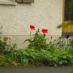 Quartiersfest Schöneich 2019