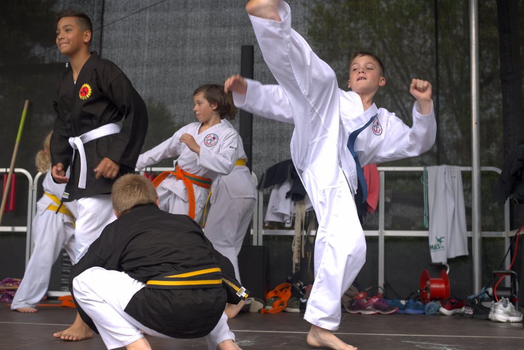 Quartiersfest Karate Show