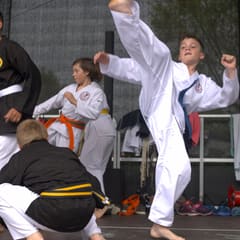 Quartiersfest Karate Show