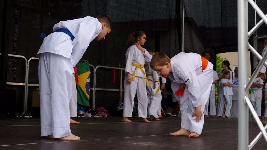 Quartiersfest Karate Show