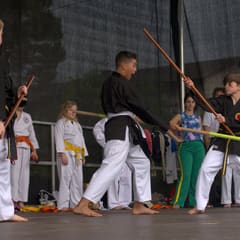 Quartiersfest Karate Show