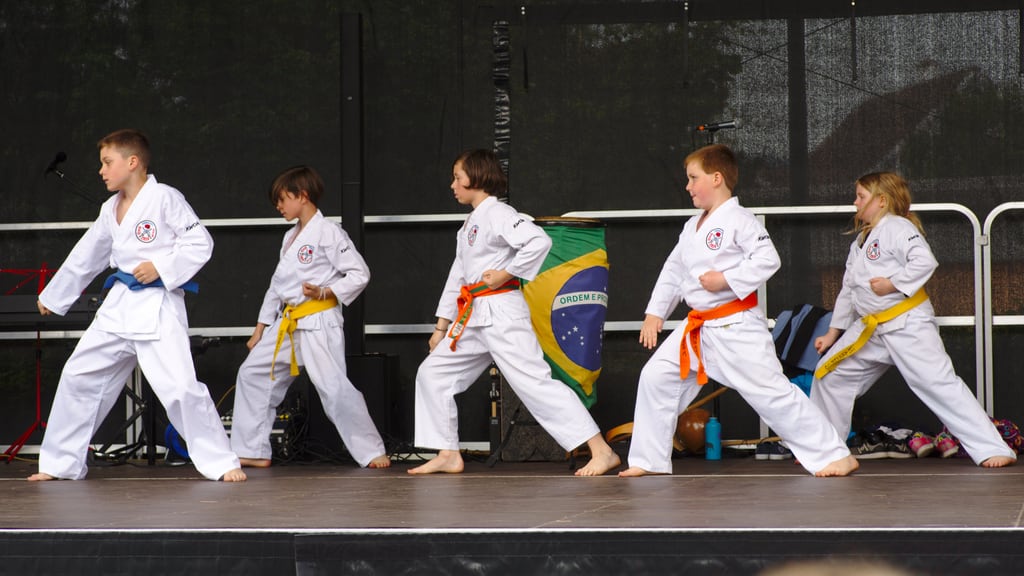 Quartiersfest Karate Show