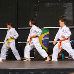 Quartiersfest Karate Show