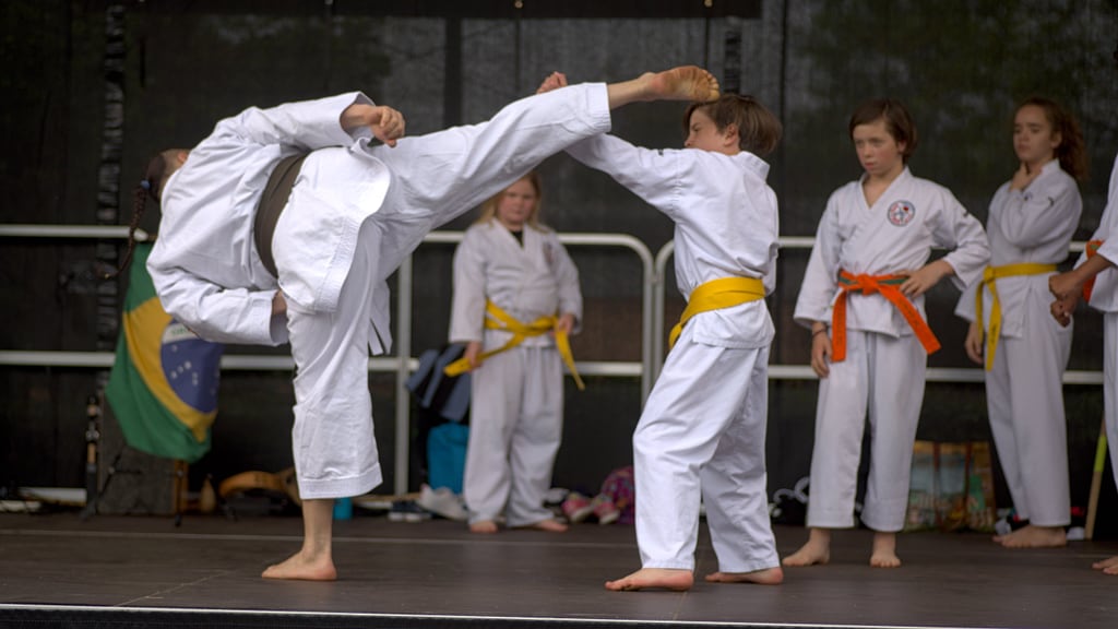 Quartiersfest Karate Show