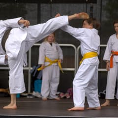 Quartiersfest Karate Show
