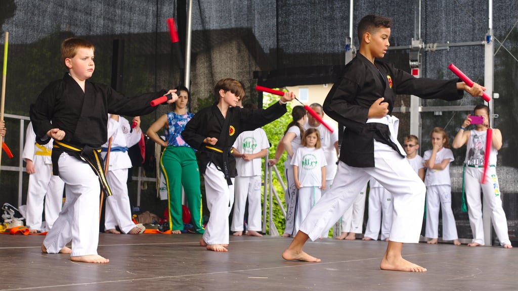 Quartiersfest Karate Show