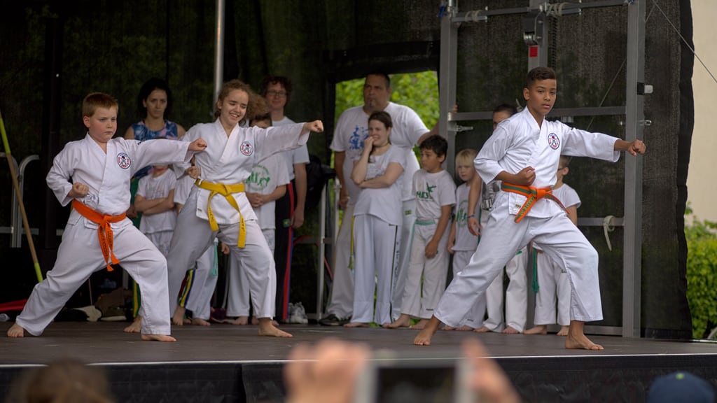 Quartiersfest Karate Show