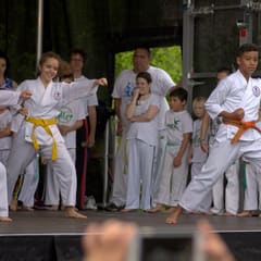 Quartiersfest Karate Show