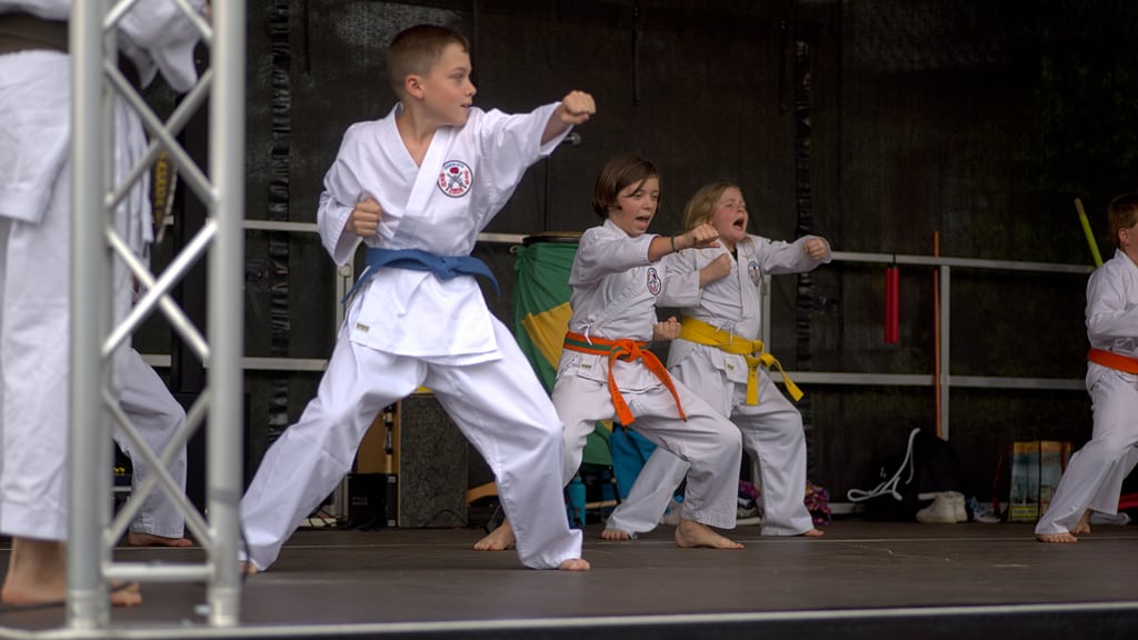 Quartiersfest Karate Show