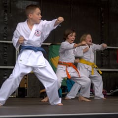 Quartiersfest Karate Show