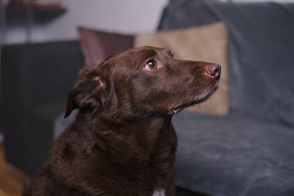 Millie