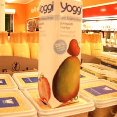 Jogurt