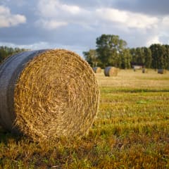 Hay Ball