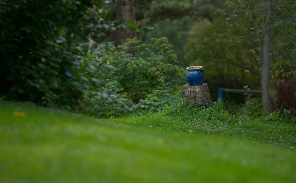 Blue pot