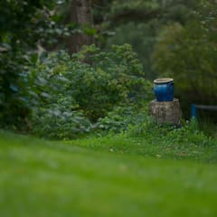 Blue pot
