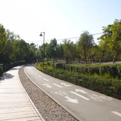 jerusalem-2019-11-12_0003