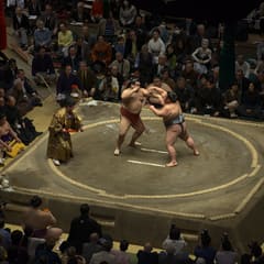 January Grand Sumo Tournament - Tokyo Japan 2020 (14)