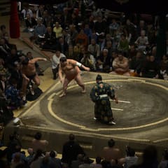 January Grand Sumo Tournament - Tokyo Japan 2020 (6)