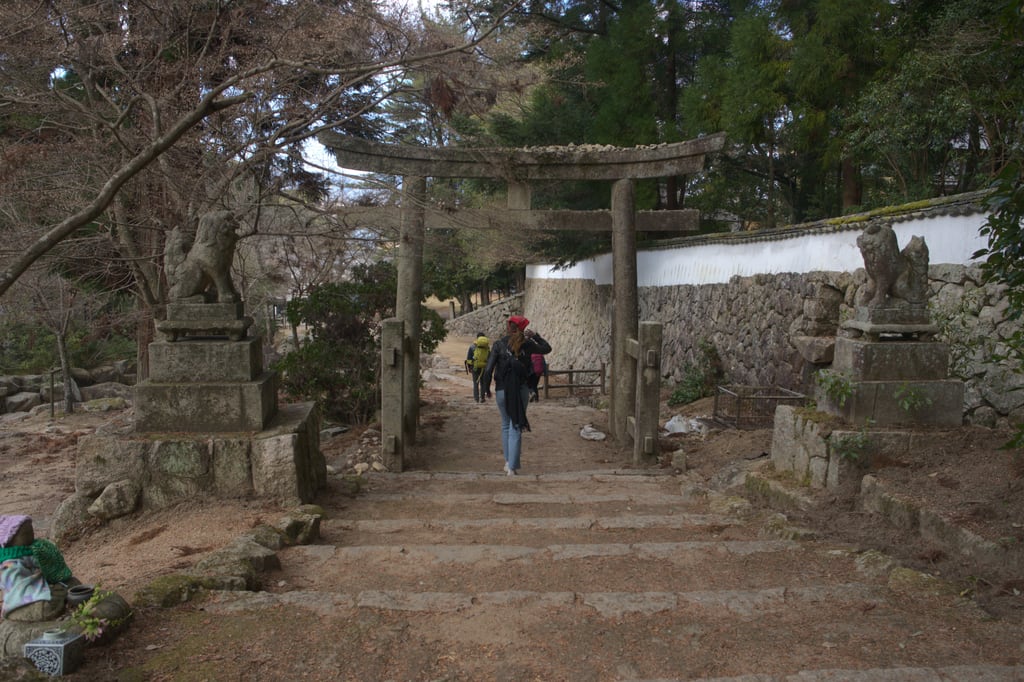 Miyajima Japan 2020 (9)
