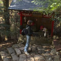 Miyajima Japan 2020 (7)