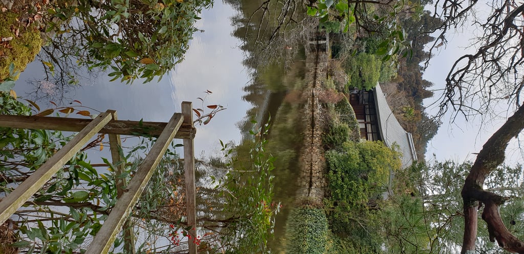 Kinkaku-ji - Kyoto - Japan 2020