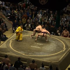 January Grand Sumo Tournament - Tokyo Japan 2020 (11)