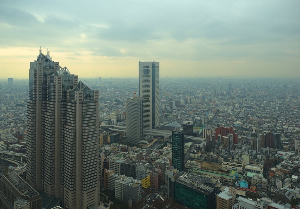 Tokyo from the Metropolitan Government Building in Japan 2020