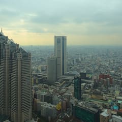 Tokyo from the Metropolitan Government Building in Japan 2020