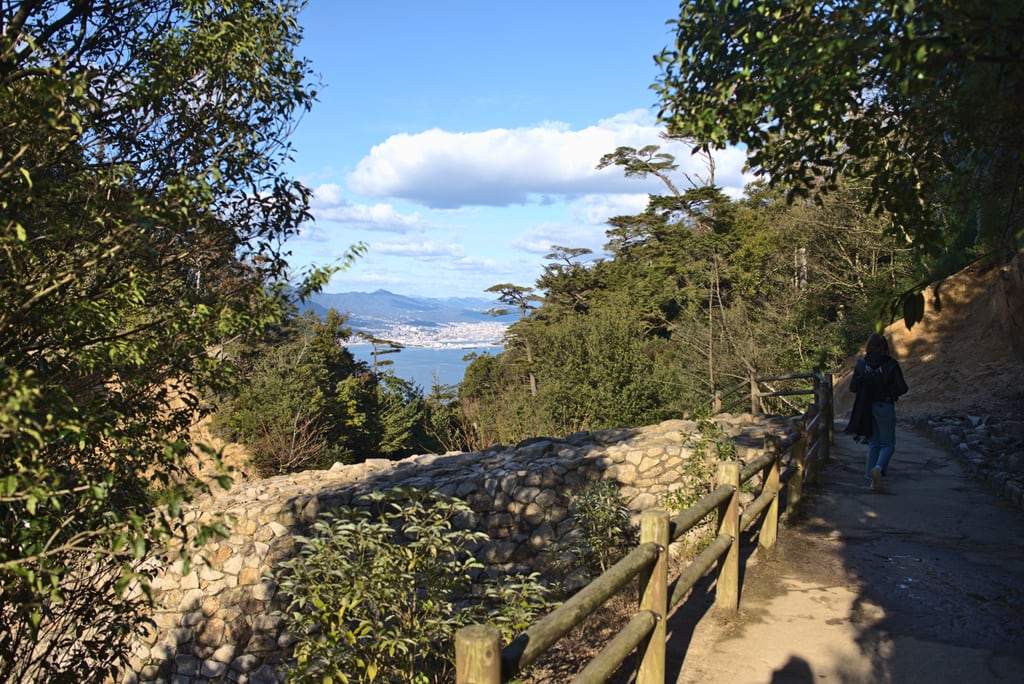 Miyajima Japan 2020 (8)