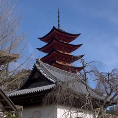Temple in Miyajima Japan 2020
