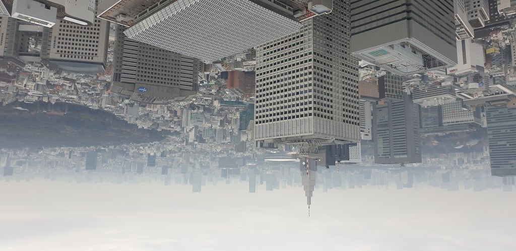 Tokyo from the Metropolitan Government Building in Japan 2020 (2)