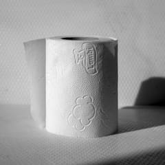 Toilet paper