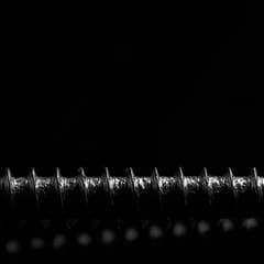 Screw