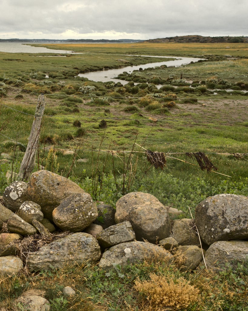 Beach close to Åsa in Halland.
