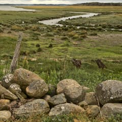 Beach close to Åsa in Halland.