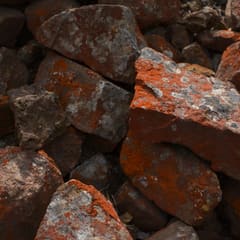 dalarna-2020_0036