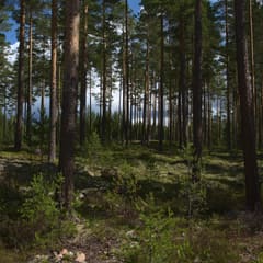 dalarna-2020_0051