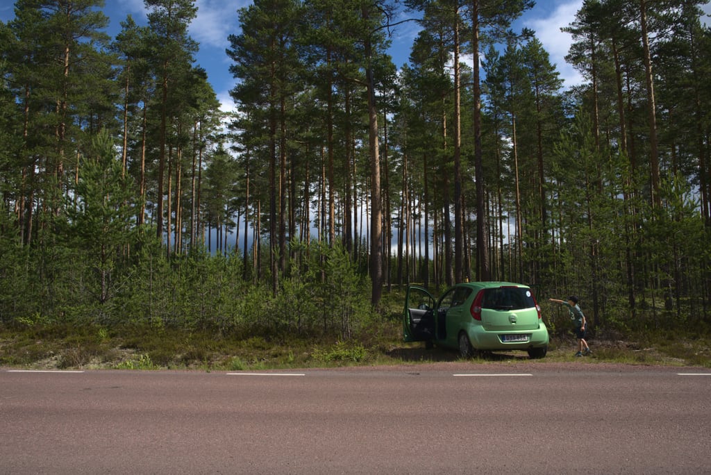 dalarna-2020_0052