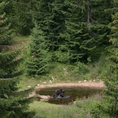 dalarna-2020_0057