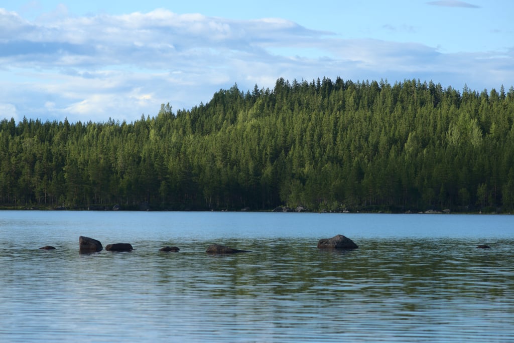 dalarna-2020_0074