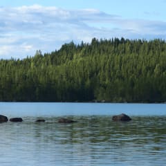 dalarna-2020_0074