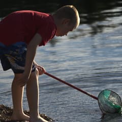 dalarna-2020_0079