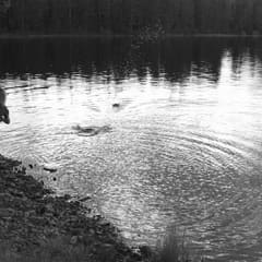 dalarna-2020_0073