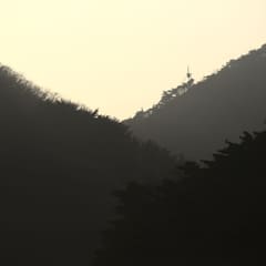 layers-of-woods