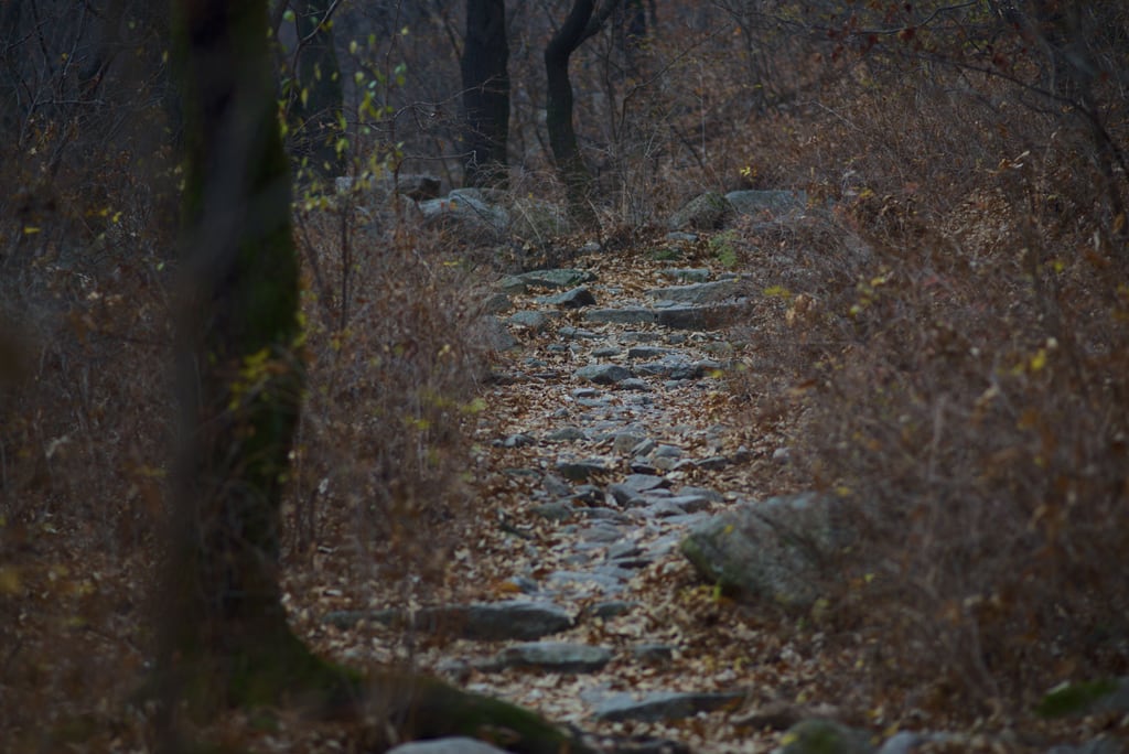 the-way
