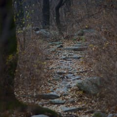 the-way