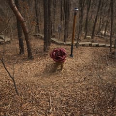 Anyang-Art-Park_0026