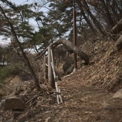 Anyang-Art-Park_0010